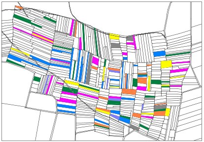 Waldneuordnung_vorher